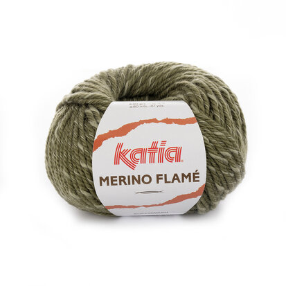 1 pelote Merino Flamé 109 Vert-Ecru