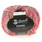 FIENE-4979